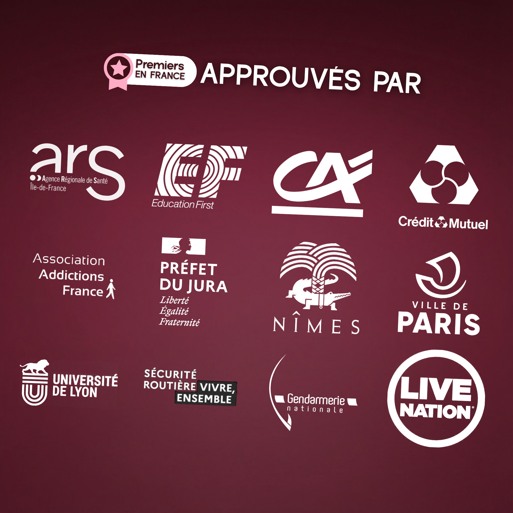 EthyloCheck™ - Jednokratni alkotest za prevenciju (0,0 g/L - 0,2 g/L - 0,5 g/L)